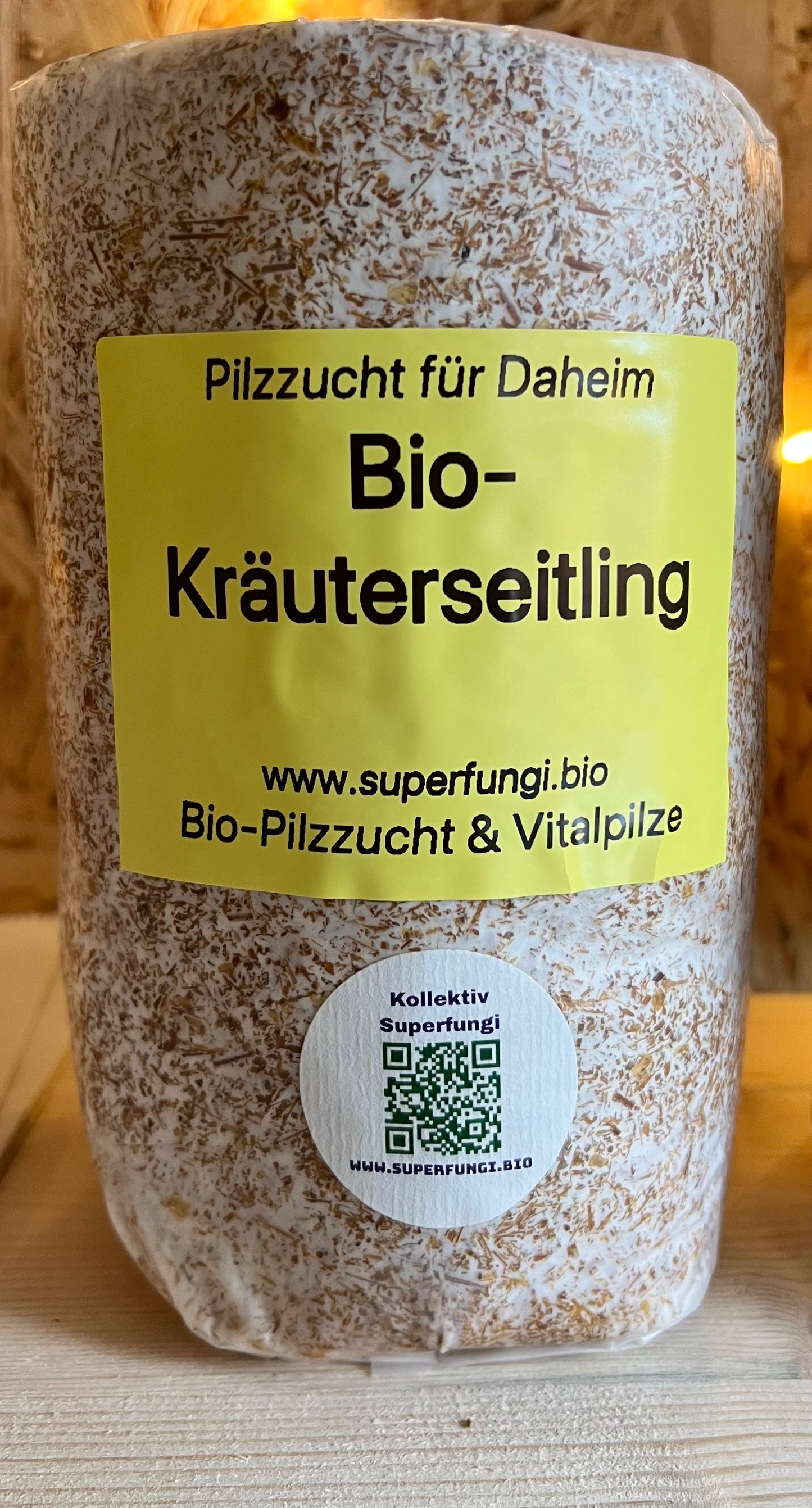 Kräuterseitling - Pilzzucht für Daheim
