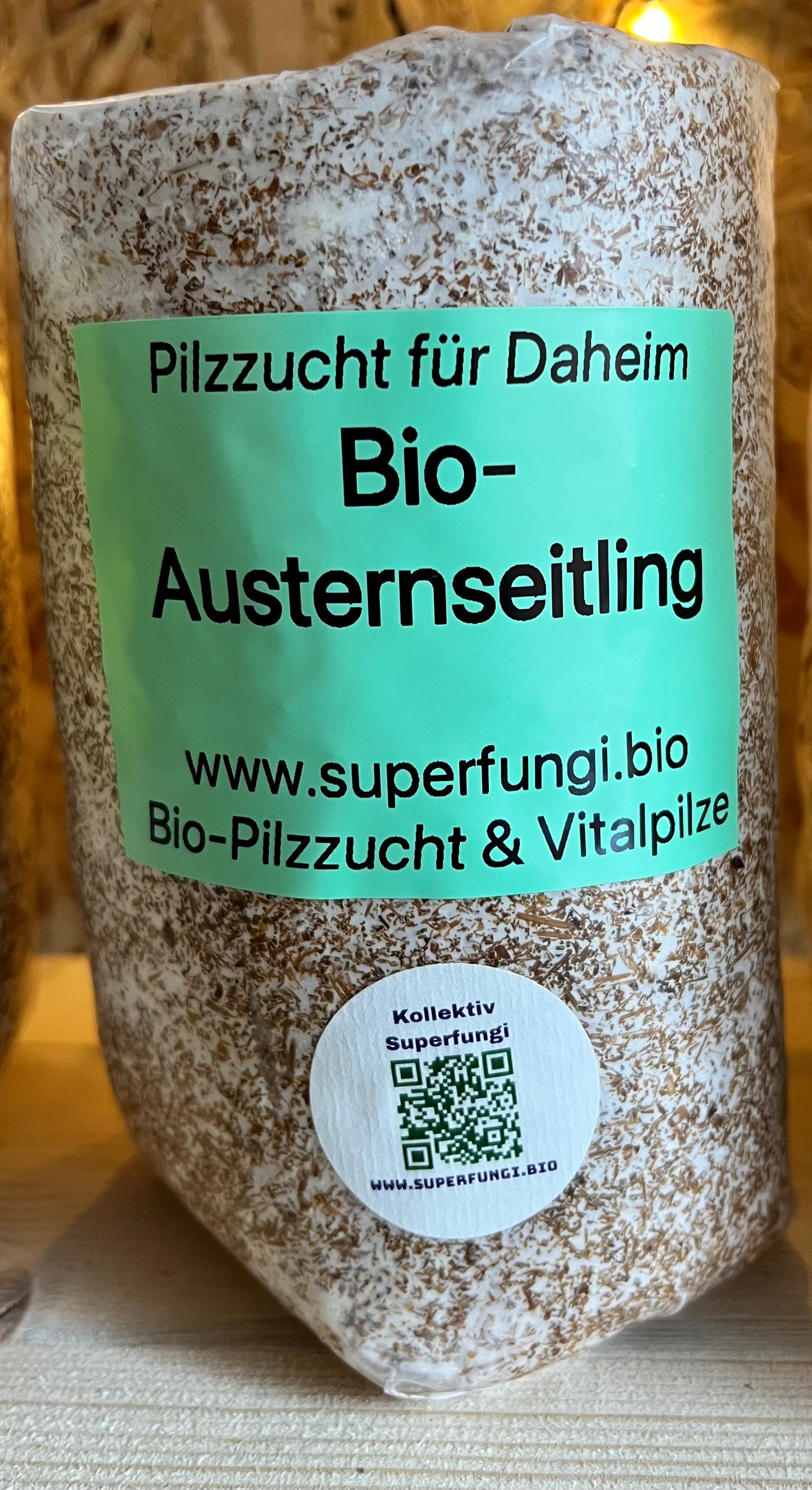 Austernseitling - Pilzzucht für Daheim