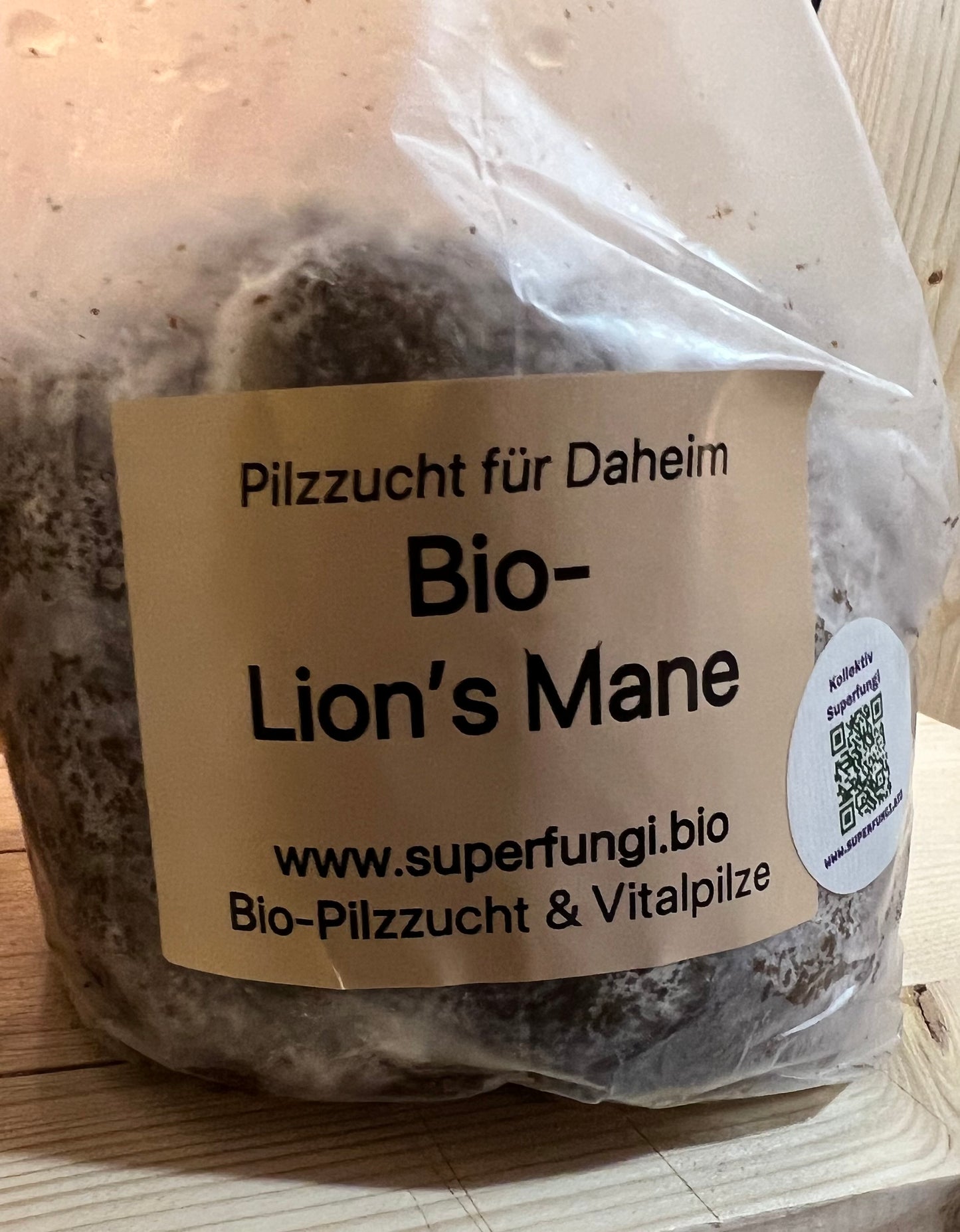 Lion's Mane -                 Pilzzucht für Daheim