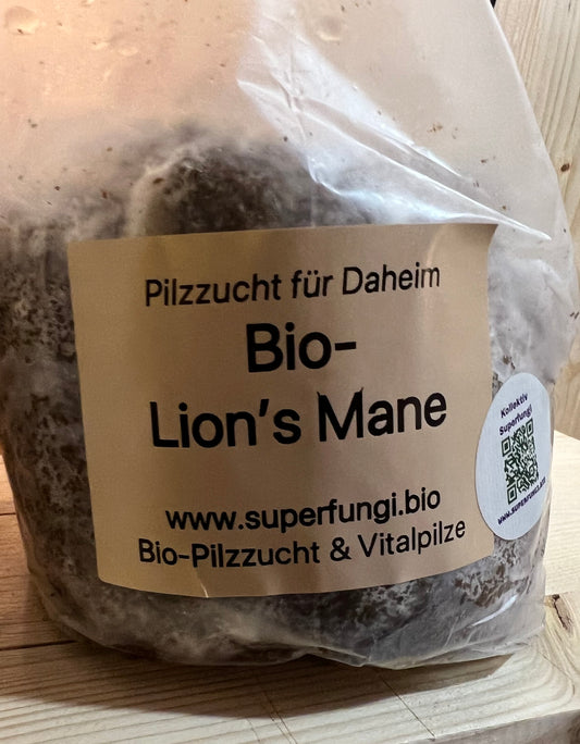 Lion's Mane -                 Pilzzucht für Daheim